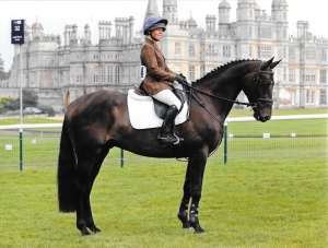 Fulham ("Bishop") posing in front of the Burghley castle after winning the title of Burghley Young Horse Champion. 