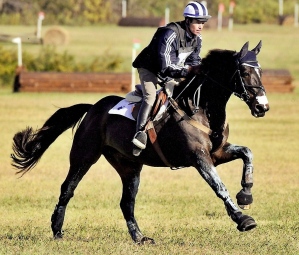 Seamus gallop 2011 3